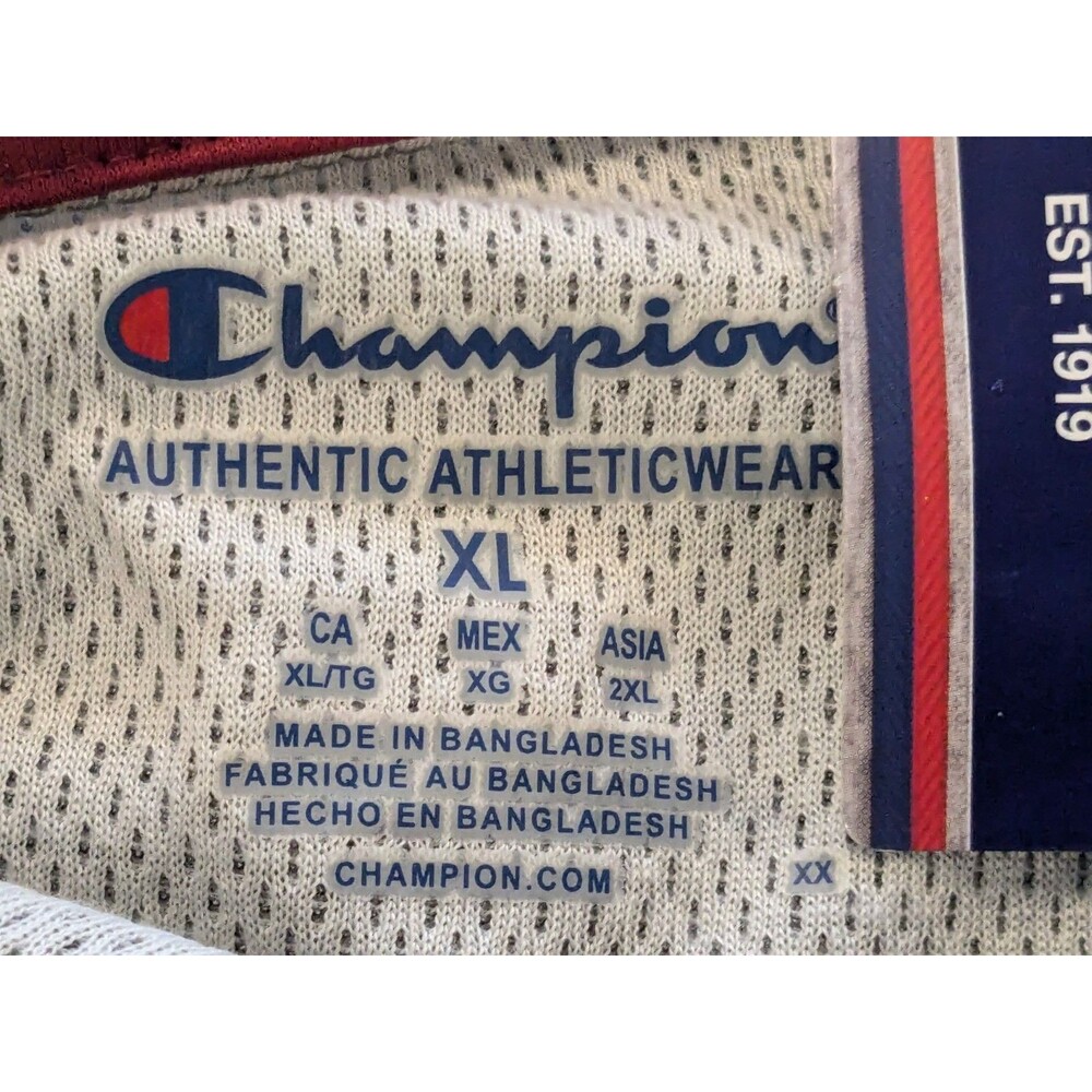 Champion Men's USC Gamecocks Grey Collared Shirt - Picture 3 of 9
